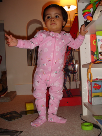 12 Nov pink panther.jpg